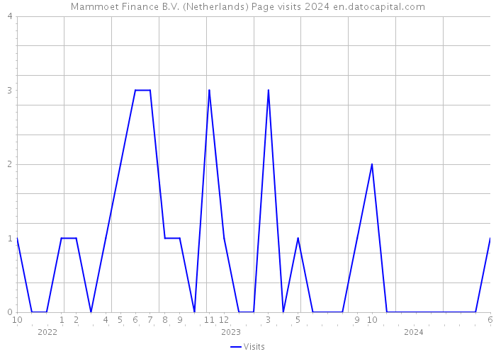 Mammoet Finance B.V. (Netherlands) Page visits 2024 