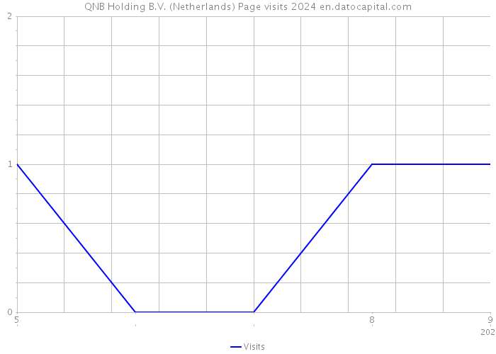 QNB Holding B.V. (Netherlands) Page visits 2024 