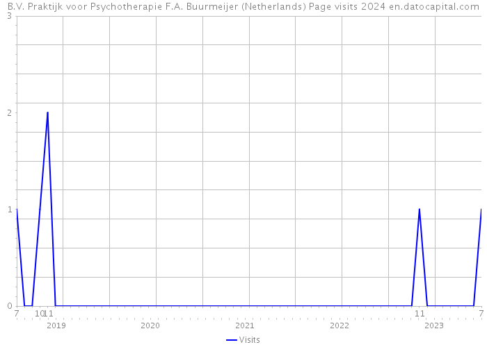 B.V. Praktijk voor Psychotherapie F.A. Buurmeijer (Netherlands) Page visits 2024 