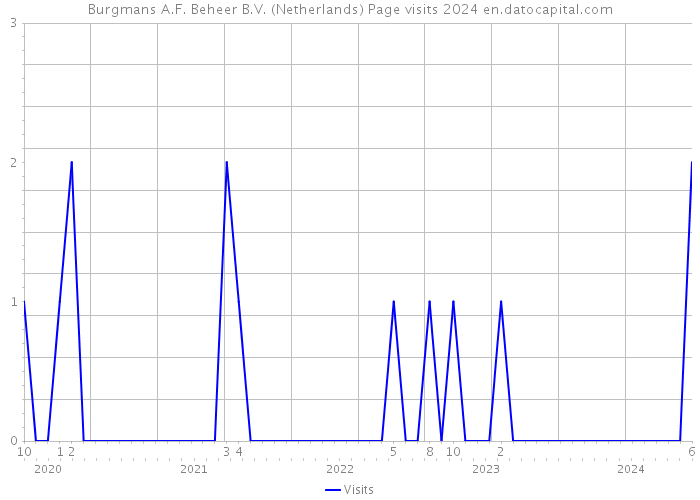 Burgmans A.F. Beheer B.V. (Netherlands) Page visits 2024 