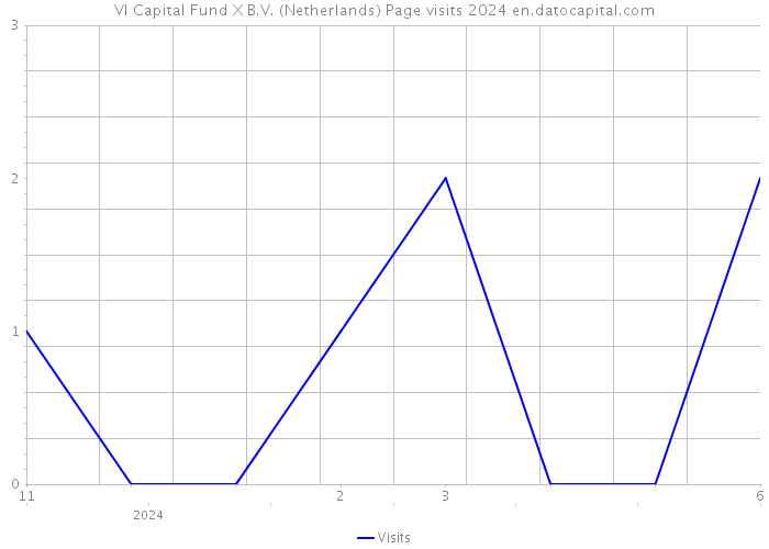 VI Capital Fund X B.V. (Netherlands) Page visits 2024 