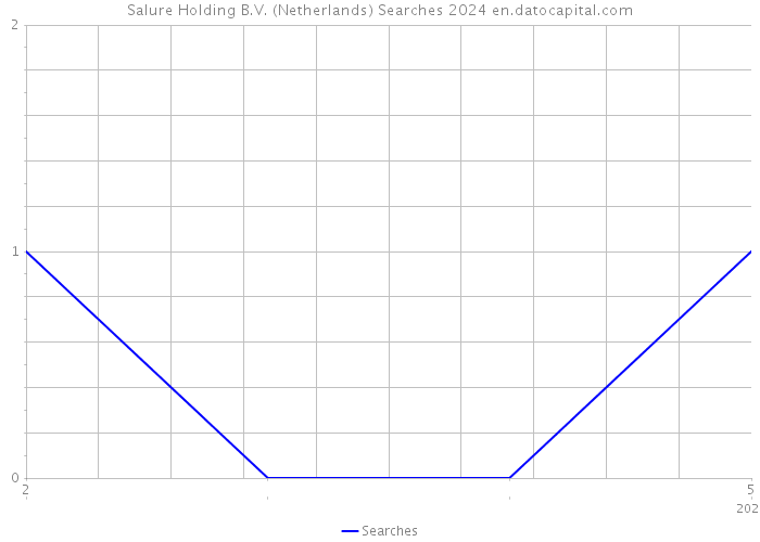 Salure Holding B.V. (Netherlands) Searches 2024 