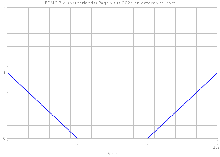 BDMC B.V. (Netherlands) Page visits 2024 