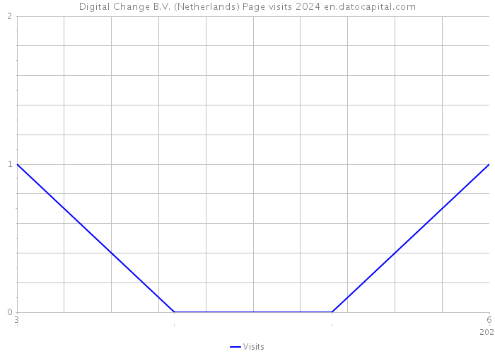 Digital Change B.V. (Netherlands) Page visits 2024 