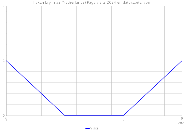 Hakan Eryilmaz (Netherlands) Page visits 2024 