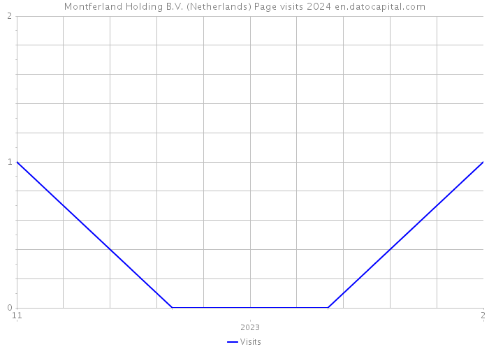 Montferland Holding B.V. (Netherlands) Page visits 2024 