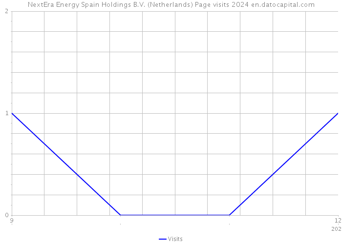 NextEra Energy Spain Holdings B.V. (Netherlands) Page visits 2024 