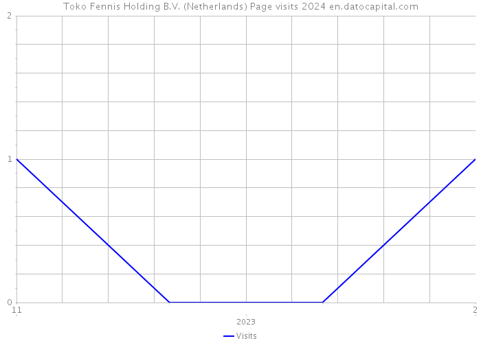 Toko Fennis Holding B.V. (Netherlands) Page visits 2024 