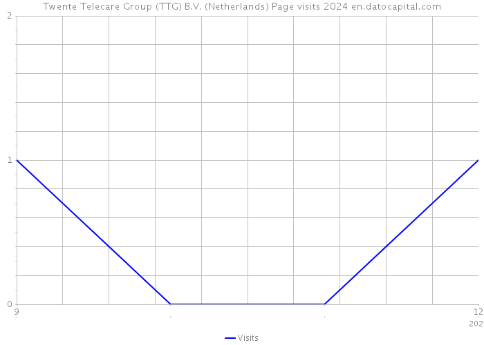 Twente Telecare Group (TTG) B.V. (Netherlands) Page visits 2024 
