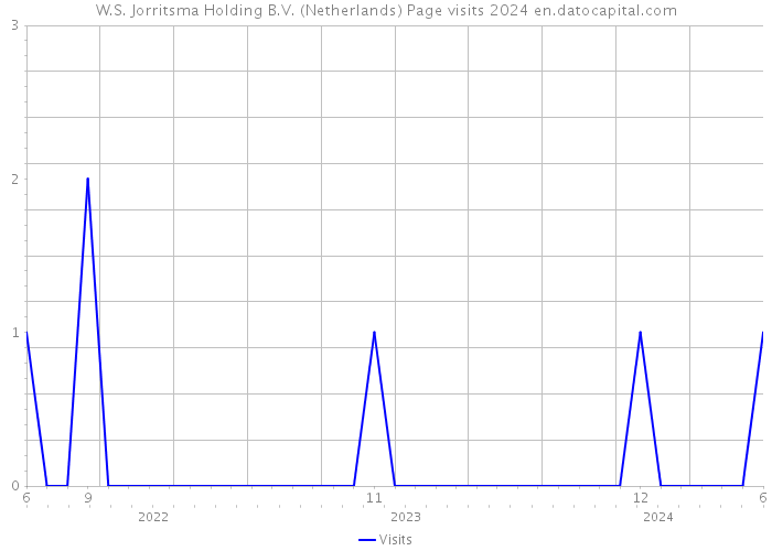 W.S. Jorritsma Holding B.V. (Netherlands) Page visits 2024 