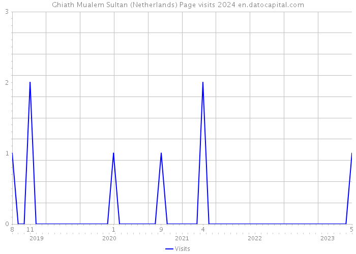 Ghiath Mualem Sultan (Netherlands) Page visits 2024 