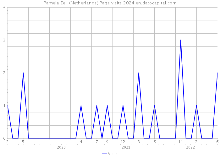 Pamela Zell (Netherlands) Page visits 2024 