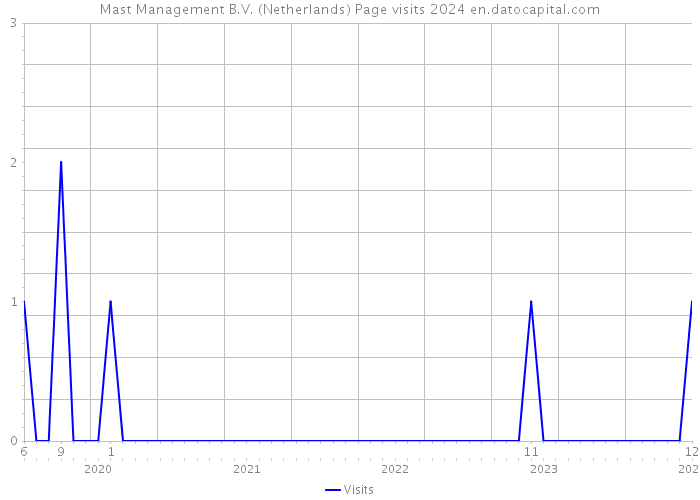 Mast Management B.V. (Netherlands) Page visits 2024 