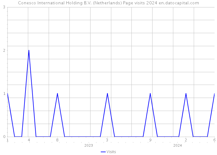Conesco International Holding B.V. (Netherlands) Page visits 2024 