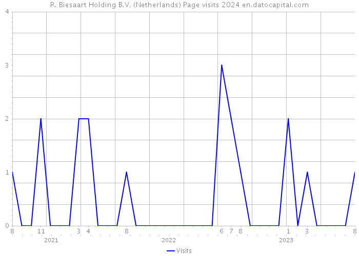 R. Biesaart Holding B.V. (Netherlands) Page visits 2024 
