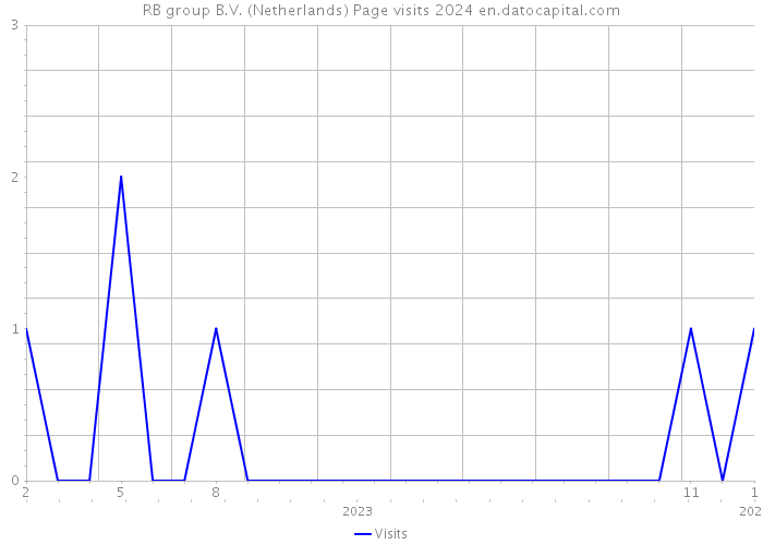 RB group B.V. (Netherlands) Page visits 2024 
