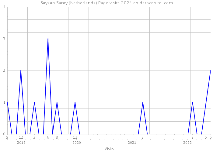 Baykan Saray (Netherlands) Page visits 2024 