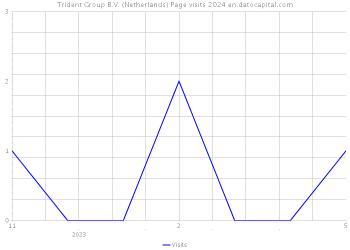 Trident Group B.V. (Netherlands) Page visits 2024 