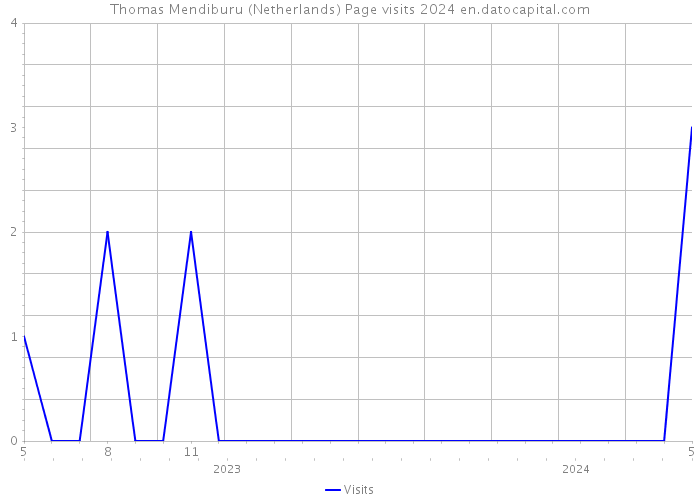 Thomas Mendiburu (Netherlands) Page visits 2024 