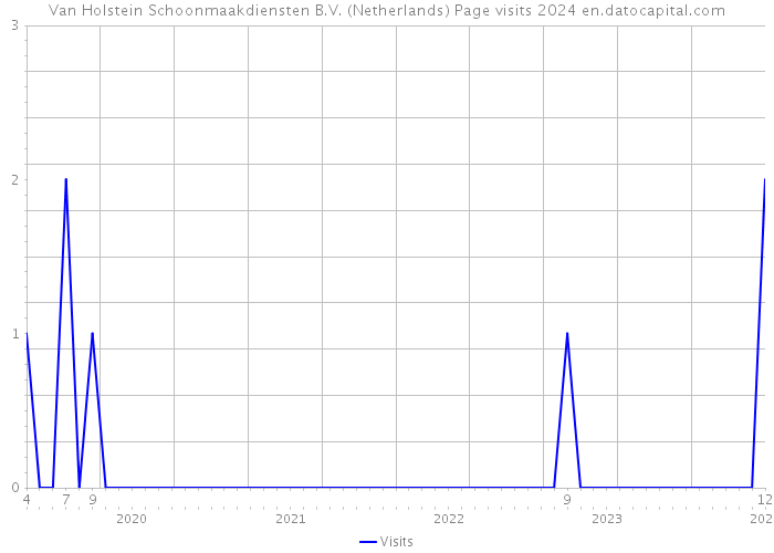 Van Holstein Schoonmaakdiensten B.V. (Netherlands) Page visits 2024 
