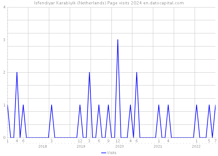 Isfendiyar Karabiyik (Netherlands) Page visits 2024 