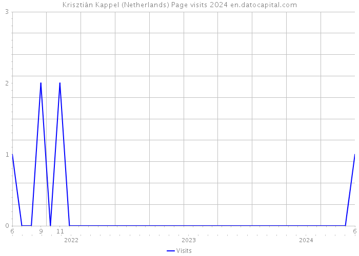 Krisztián Kappel (Netherlands) Page visits 2024 