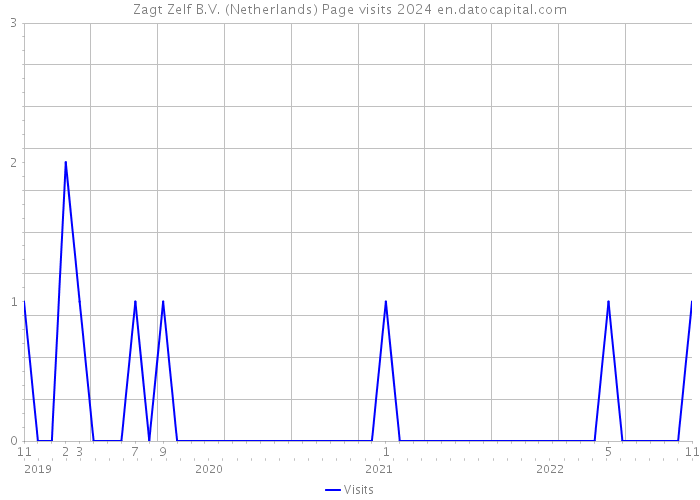 Zagt Zelf B.V. (Netherlands) Page visits 2024 