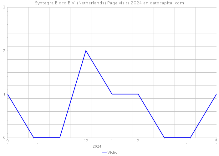 Syntegra Bidco B.V. (Netherlands) Page visits 2024 