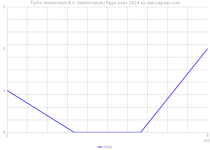 Tyche Amsterdam B.V. (Netherlands) Page visits 2024 