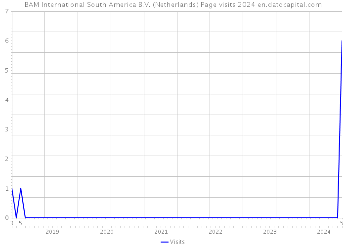 BAM International South America B.V. (Netherlands) Page visits 2024 