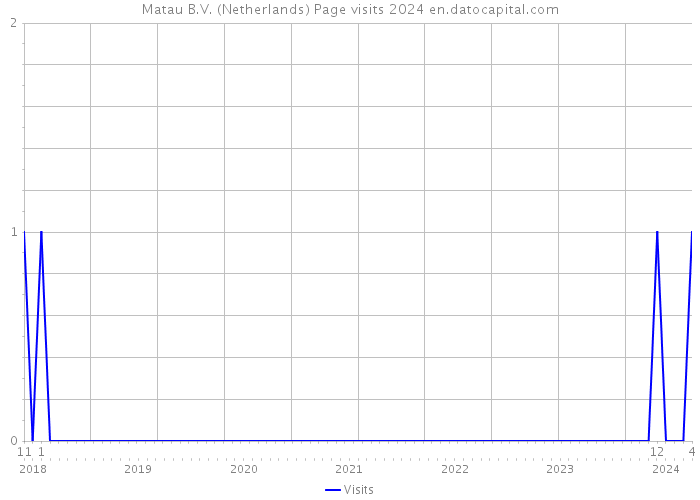 Matau B.V. (Netherlands) Page visits 2024 