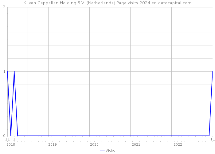K. van Cappellen Holding B.V. (Netherlands) Page visits 2024 