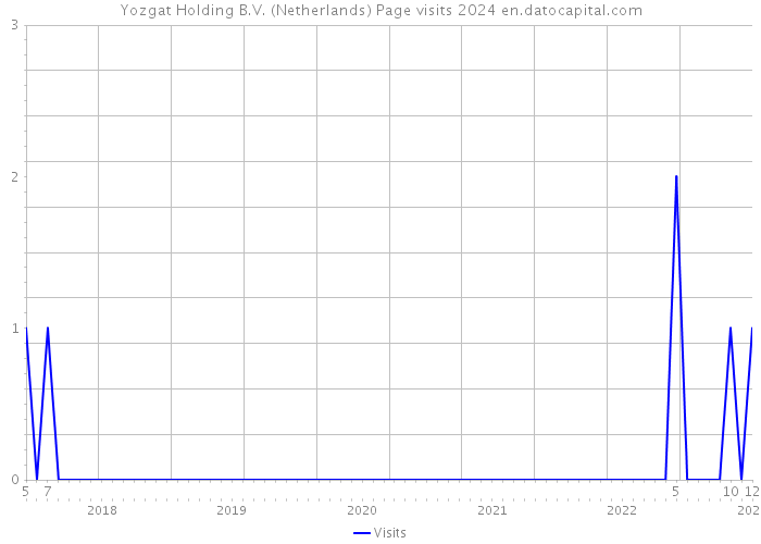 Yozgat Holding B.V. (Netherlands) Page visits 2024 