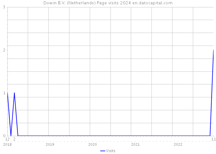 Dowin B.V. (Netherlands) Page visits 2024 