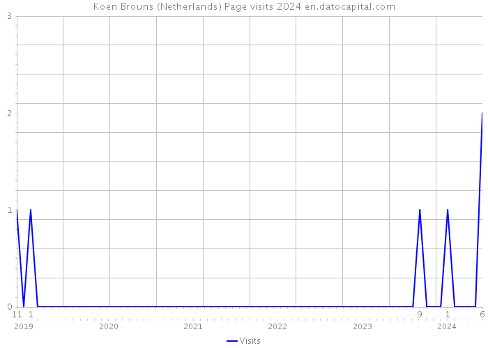 Koen Brouns (Netherlands) Page visits 2024 