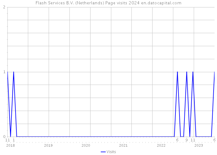Flash Services B.V. (Netherlands) Page visits 2024 