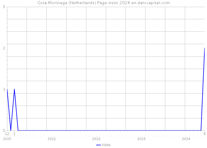 Gota Morinaga (Netherlands) Page visits 2024 