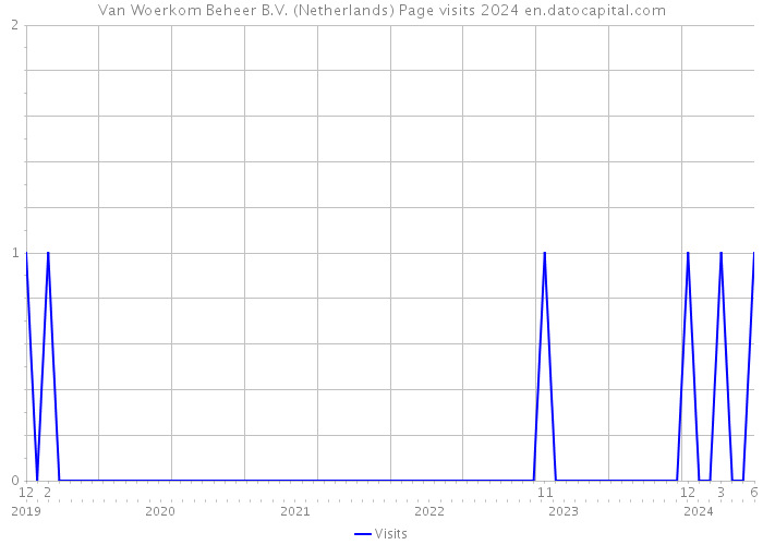 Van Woerkom Beheer B.V. (Netherlands) Page visits 2024 