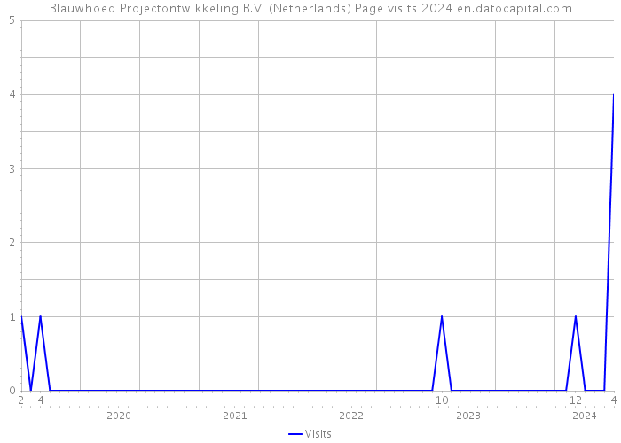 Blauwhoed Projectontwikkeling B.V. (Netherlands) Page visits 2024 