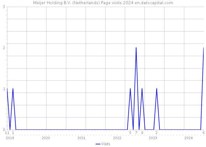 Meijer Holding B.V. (Netherlands) Page visits 2024 