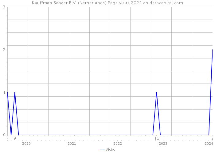 Kauffman Beheer B.V. (Netherlands) Page visits 2024 