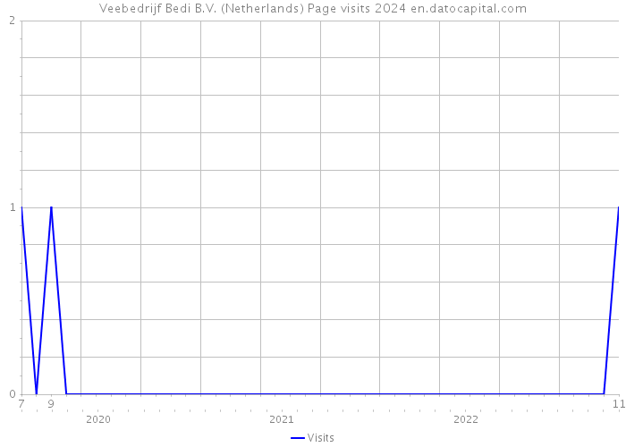 Veebedrijf Bedi B.V. (Netherlands) Page visits 2024 