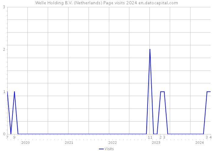 Welle Holding B.V. (Netherlands) Page visits 2024 