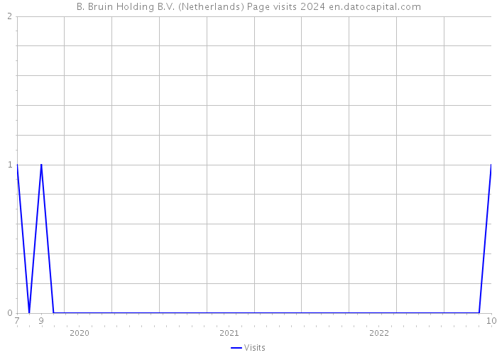 B. Bruin Holding B.V. (Netherlands) Page visits 2024 