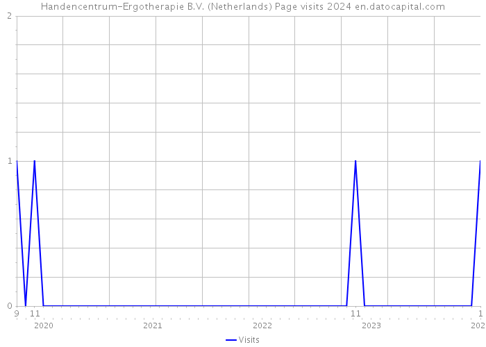 Handencentrum-Ergotherapie B.V. (Netherlands) Page visits 2024 