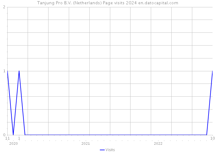 Tanjung Pro B.V. (Netherlands) Page visits 2024 