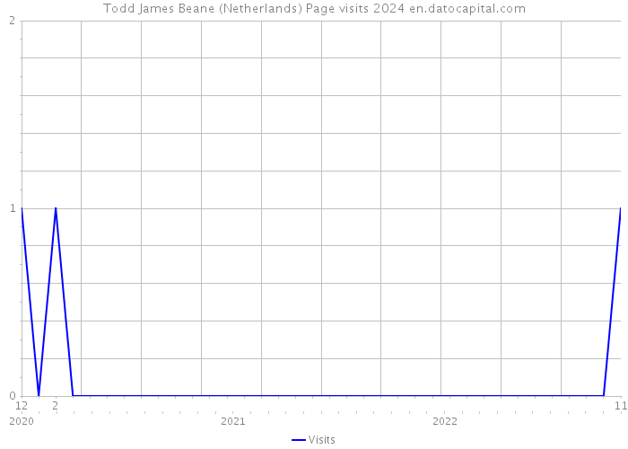 Todd James Beane (Netherlands) Page visits 2024 