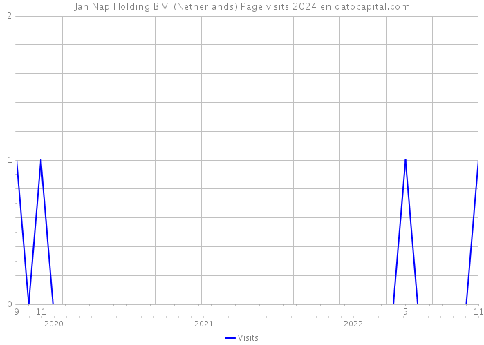 Jan Nap Holding B.V. (Netherlands) Page visits 2024 