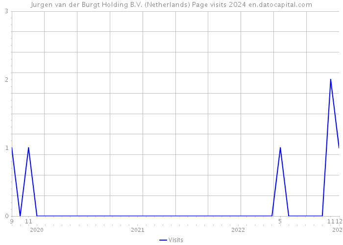 Jurgen van der Burgt Holding B.V. (Netherlands) Page visits 2024 