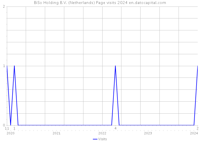 BiSo Holding B.V. (Netherlands) Page visits 2024 